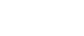 Data Sanity