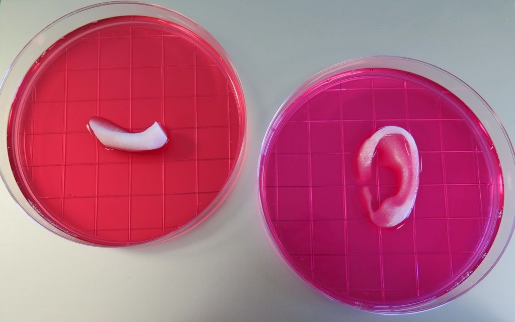 3d printed tissue