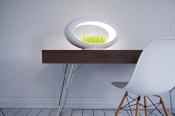 grasslamp