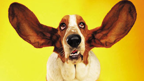 listening