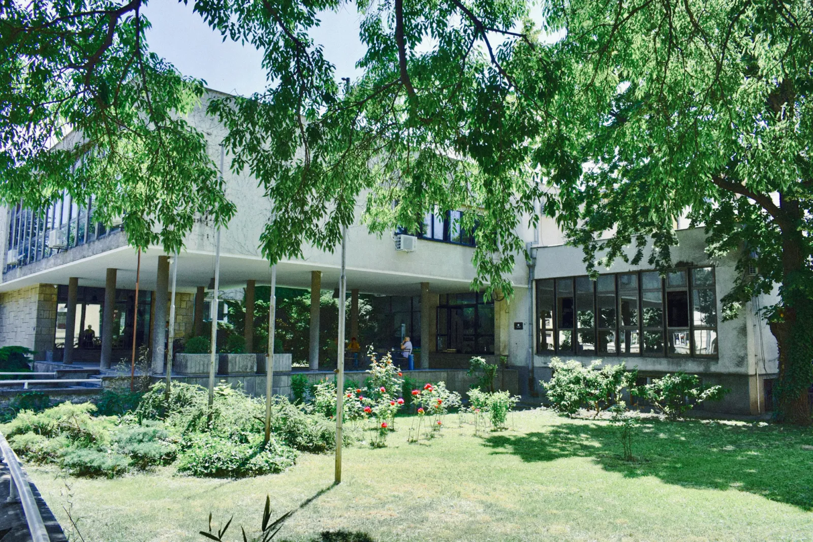 Dvorište sa drvećem i baštom u centru grada